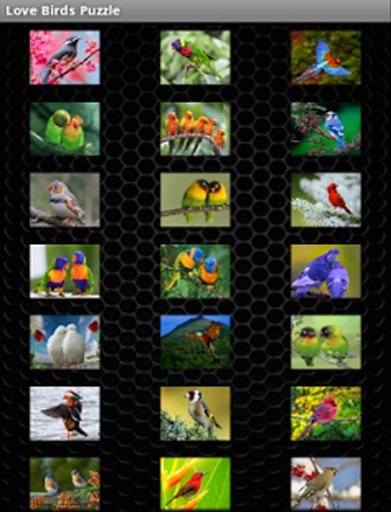 Birds Games Puzzle截图2