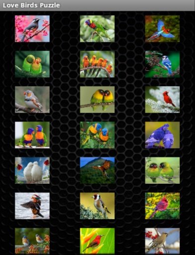 Birds Games Puzzle截图3