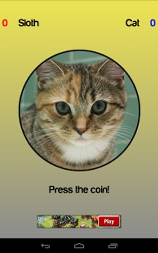 Cat or Sloth Coin Toss截图1