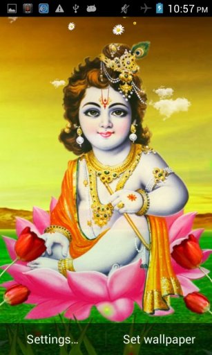 Lord Krishna Live Wallpaper截图4