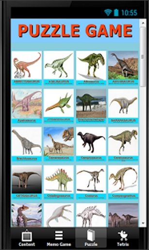 Fun Jurassic Dinosaur Game截图5