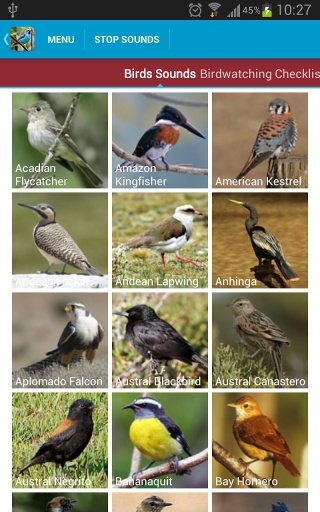 South American Birds Sounds截图4