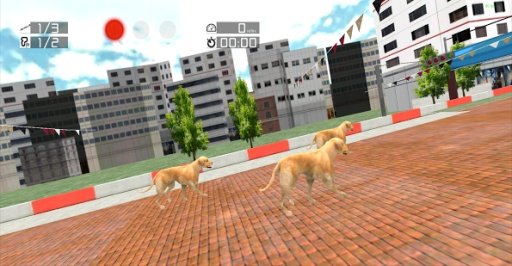 Dog Racing : Labrador截图3