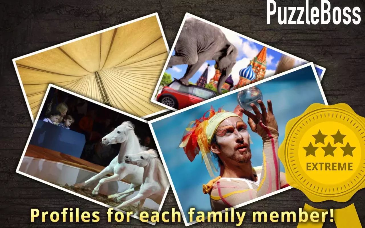 Circus Jigsaw Puzzles FREE截图8