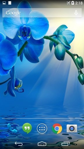 Blue Orchid Live Wallpaper截图2