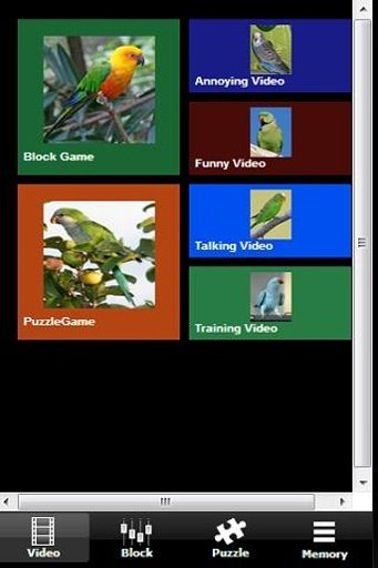 Annoying Talking Parakeet截图8