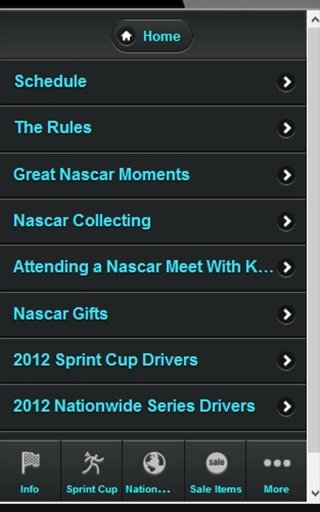 Nascar Lineup截图1