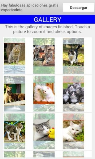 Kitties Jigsaw Wallpaper Game截图6