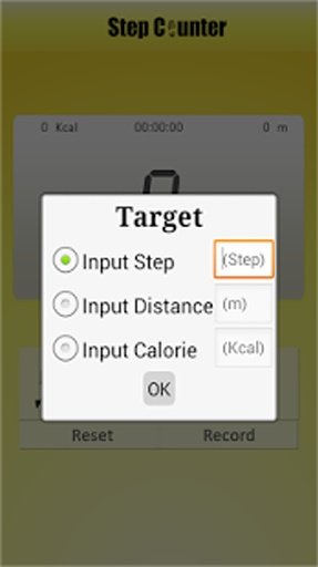 Step Counter截图7