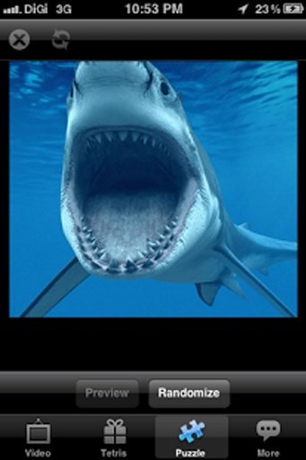 Hunger Shark Surf截图3