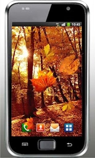 Autumn Sunrise live wallpaper截图2