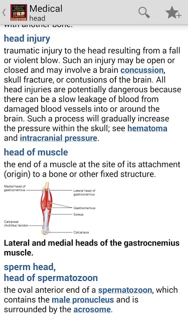 Dorland’s Medical Dictionary截图4