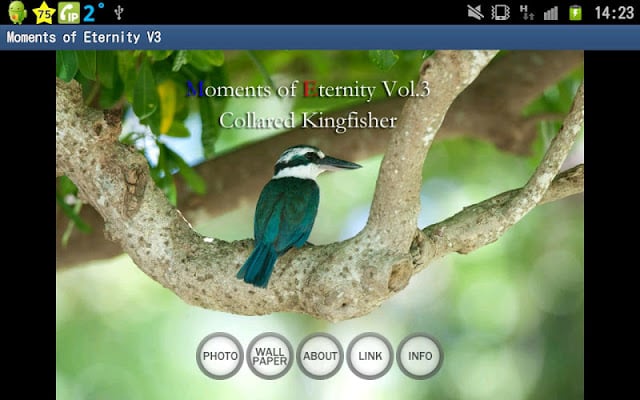 Moments of Eternity V3截图2