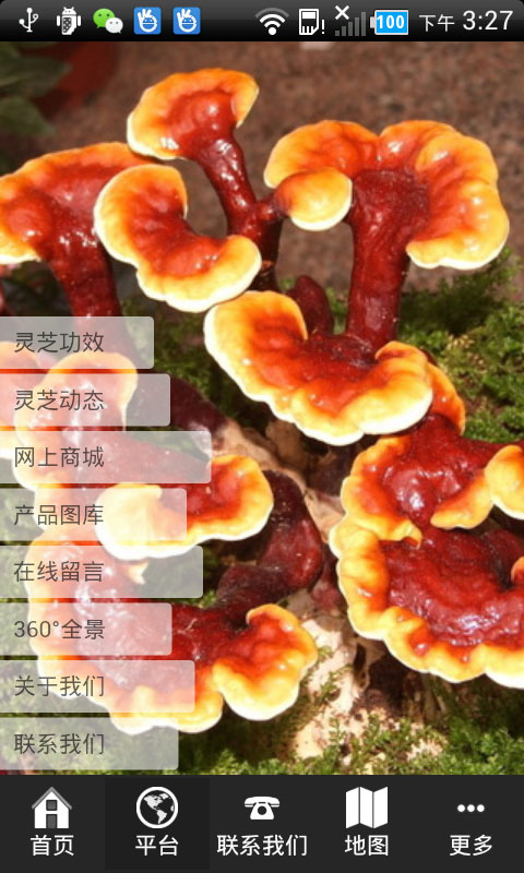 灵芝网截图1