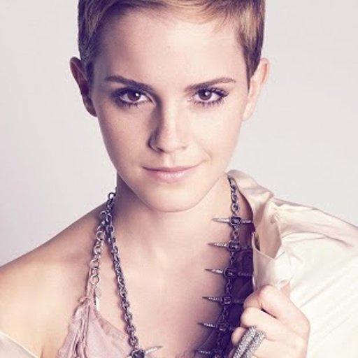 Emma Watson HD Wallpaper截图4