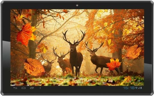 Autumn Sunrise live wallpaper截图1