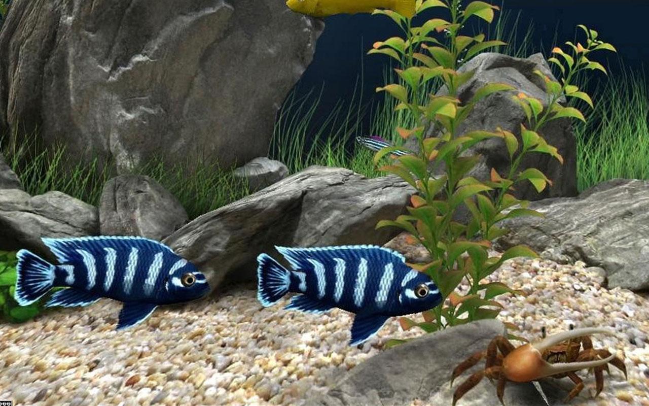 Aquarium Live Wallpapers截图1