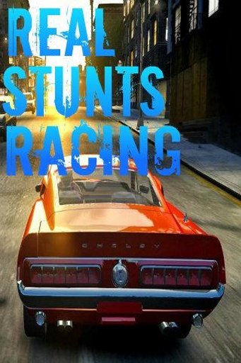 Real Stunts Racing截图8