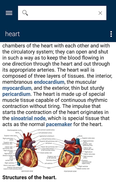 Dorland’s Medical Dictionary截图9