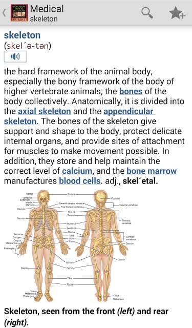 Dorland’s Medical Dictionary截图5