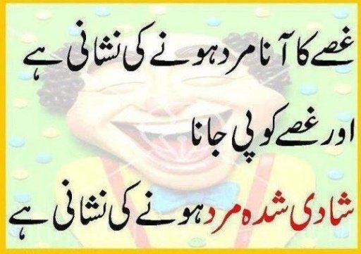 Urdu Jokes截图1