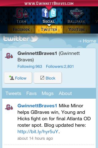 Gwinnett Braves截图3