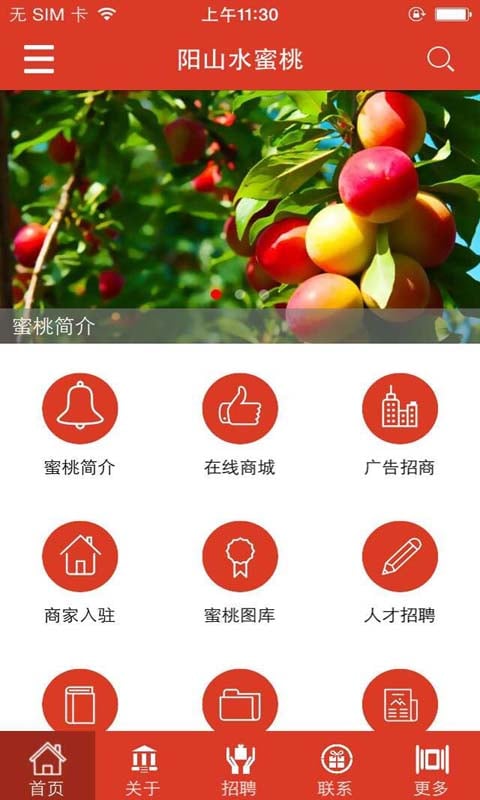 阳山水蜜桃截图2