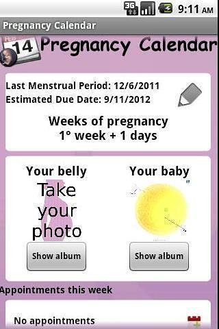 怀孕日历截图4