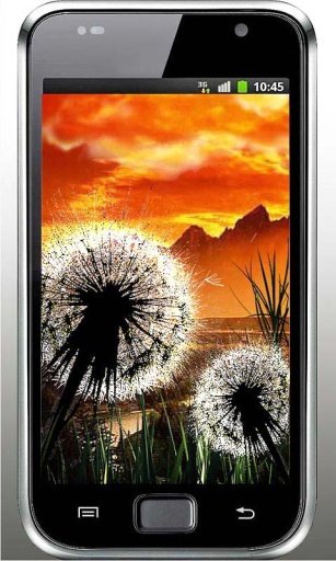 Dandelion Sunset LiveWallpaper截图5