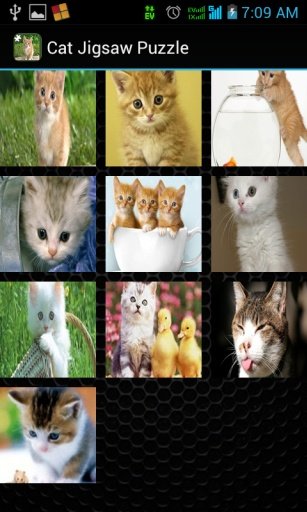 Cat Jigsaw Puzzle截图4