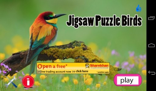 Jigsaw Puzzle Birds截图9