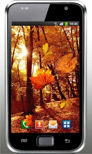 Autumn Sunrise live wallpaper截图3