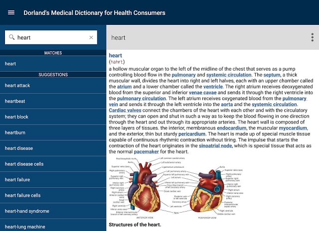 Dorland’s Medical Dictionary截图3