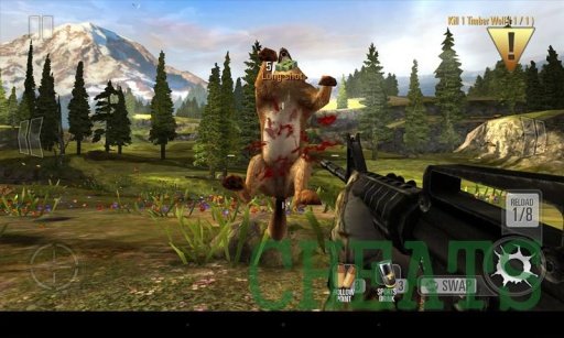 Deer Hunter Cheats截图1