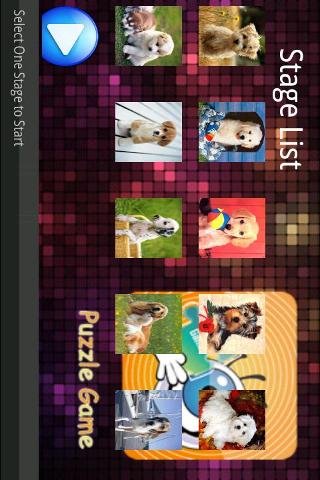 Puzzle Game-Night View Album截图4