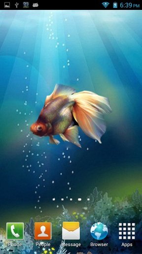 Goldfish In Your Pocket LWP截图2