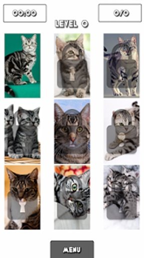 American Shorthair Puzzle Game截图2