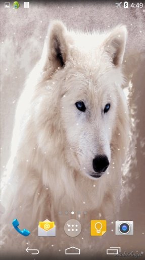 Arctic Wolf Live Wallpaper截图1