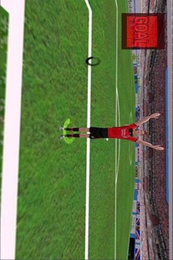 VS Soccer 3D截图1