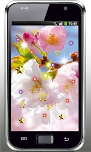 Sakura Spring Garden HD LWP截图7