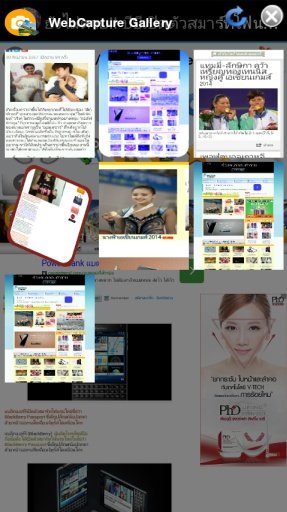 WebTranslate &amp; Capture Browser截图1