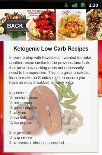 Ketogenic Low Carb Recipes截图1