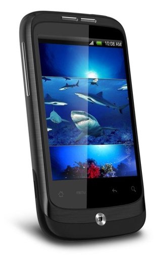 Shark Danger HD Live Wallpaper截图2