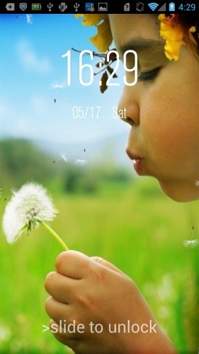 Dandelion Lock截图6