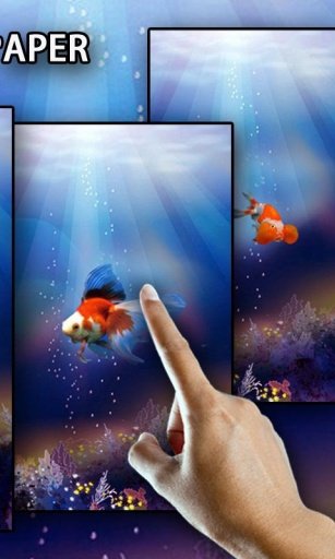 Goldfish In Your Pocket LWP截图3