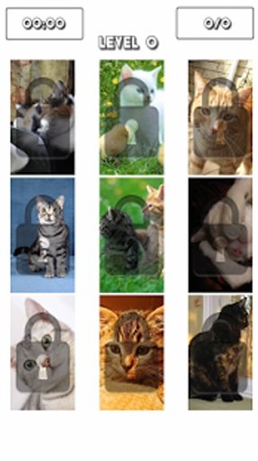 American Shorthair Puzzle Game截图5