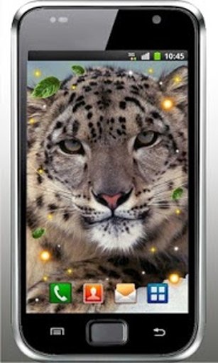 Snow Leopard live wallpaper截图4