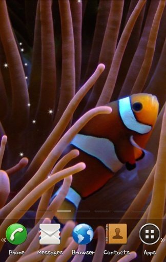 Clownfish Live Wallpaper截图3