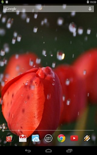 Tulips In The Rain截图7