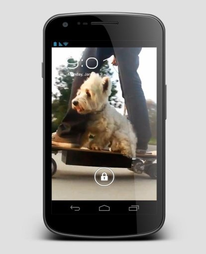 Skate Dog Terrier Live Wallpap截图1